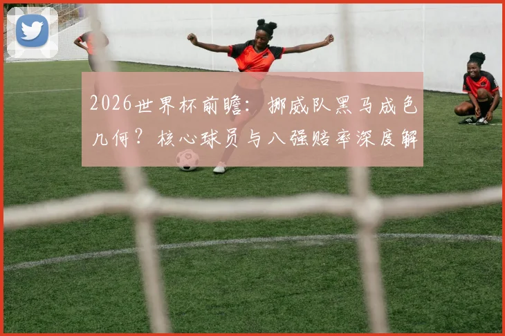 2026世界杯前瞻：挪威队黑马成色几何？核心球员与八强赔率深度解析